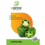 Capsicum – Vegetable Seeds