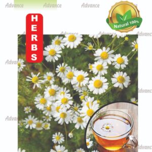 German Chamomile