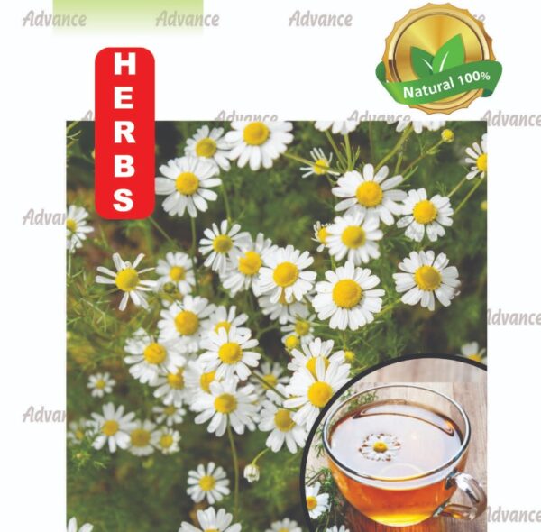 German Chamomile