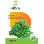 Methi Seeds