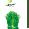 Singra Green Seeds