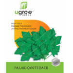 Palak Kantedar
