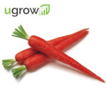 Carrot Red Seeds (Laal Gajar/लाल गाजर के बीज)