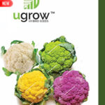 Cauliflower Mix Seeds