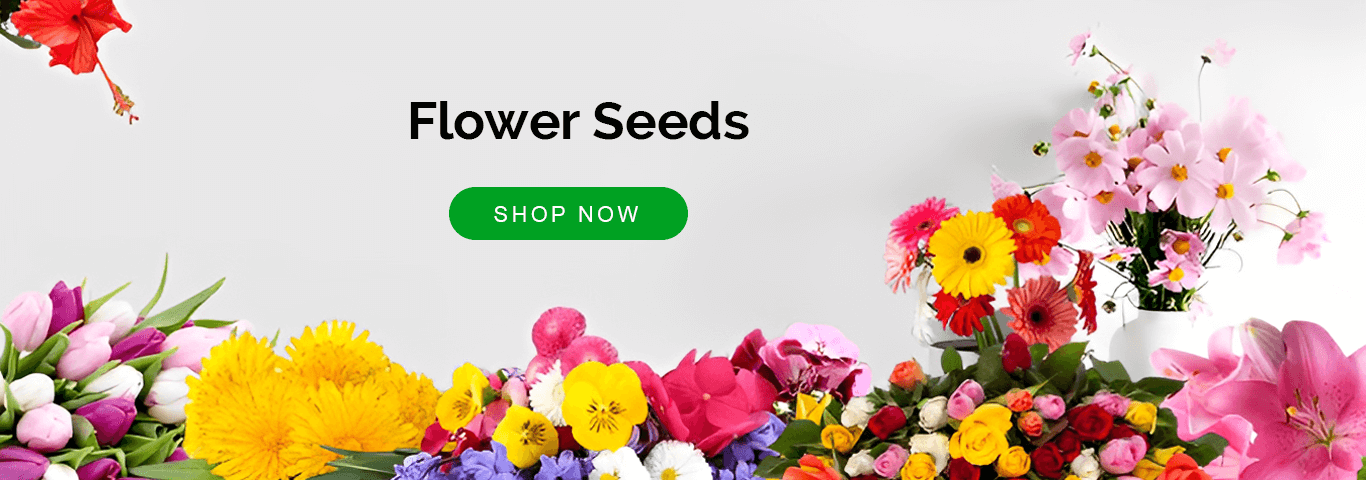 ugrowseeds flower-seedss