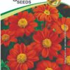 Tithonia Hybrid Flower Seeds