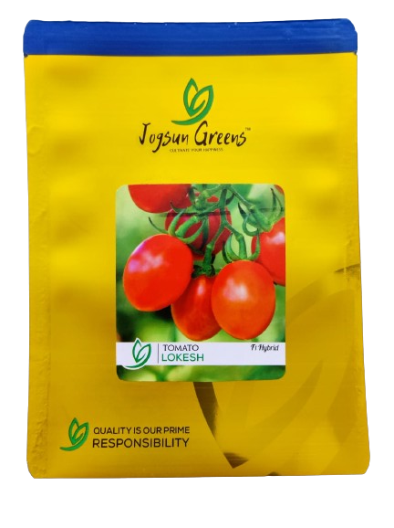 Tomato Lokesh F1 Hybrid