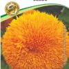 Sungold Hybrid Flower Seeds