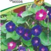Morning Glory Hybrid Flower Seeds
