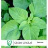 Green Cholai Selection