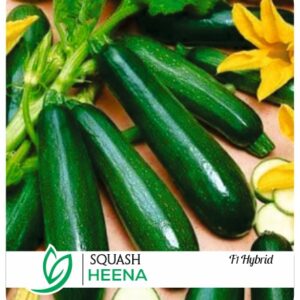 Squash Heena F1 Hybrid