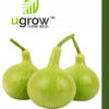 Bottle Gourd