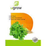 Coriander Vegetable Seeds