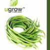 Lobia Summer Hybrid Vegetable Seeds