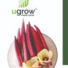 Red Bhindi Hybrid Seeds
