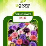 Cornflower Mix Flower Seeds (Hybrid)