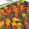 Marigold French Mix Summer Hybrid Flower Seeds