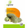 Sind Kachri Vegetable Seeds