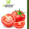 Tomato Round Hybrid Seeds
