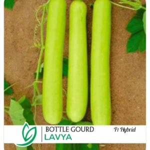 Bottle Gourd Lavya F1 Hybrid