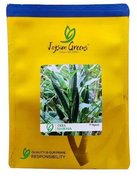 Okra Shikha F1 Hybrid