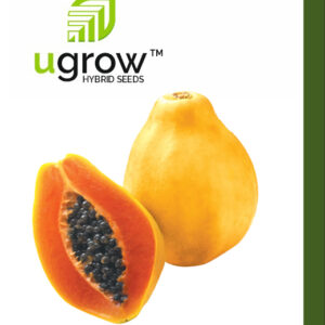 Papaya Summer Hybrid Vegetable Seeds