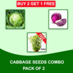 Cabbage Seeds Combo
