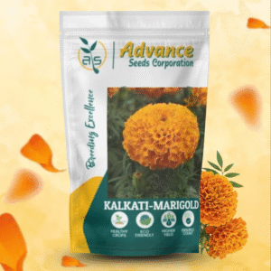 marigold