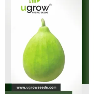 Bottle Gourd Latu Vegetable Seeds