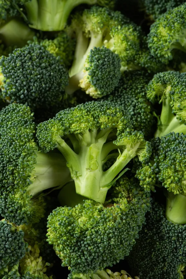 F1 Hybrid Broccoli F1 Hybrid Broccoli - Ugrow Seeds