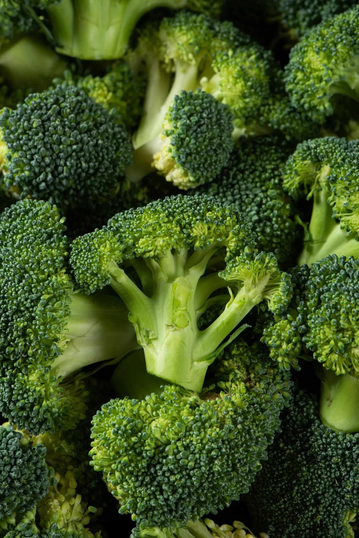 Broccoli-1.jpeg
