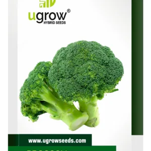 F1 Hybrid Broccoli