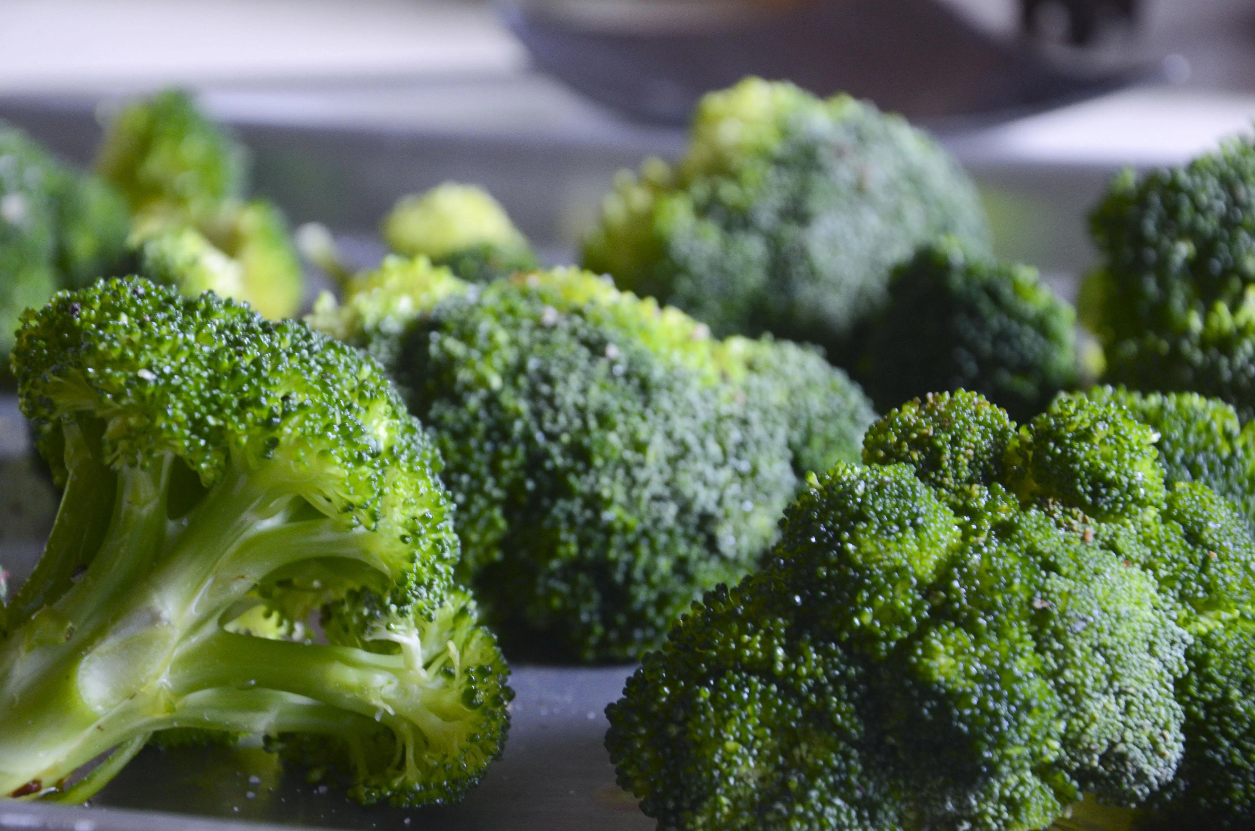 Broccoli-4.jpeg