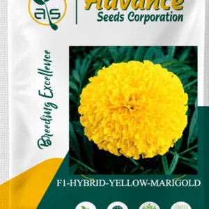 Marigold Yellow Hybrid Flower Seeds