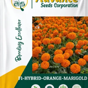 Premium Orange Globe Marigold Flower Seeds – 1000 Seeds Pack | High Germination, High Yield, Ball Shape, | Bright Round Flower Variety for Gardening & Farming