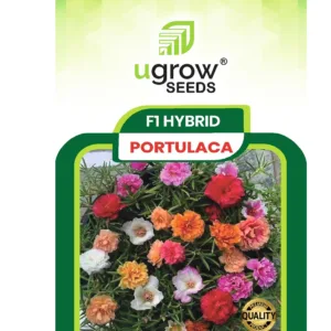 Portulaca Hybrid Flower Seeds