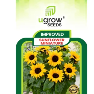 Miniature Sunflower Seeds