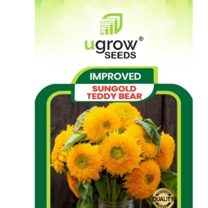 Sungold Hybrid Flower Seeds