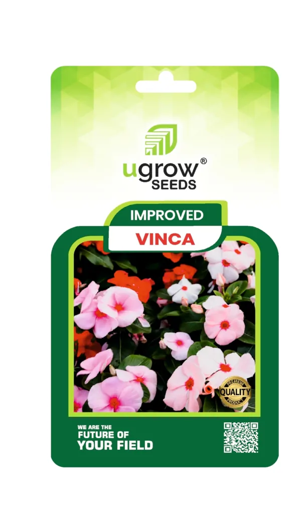 Vinca Hybrid Flower Seeds - Ugrow Seeds