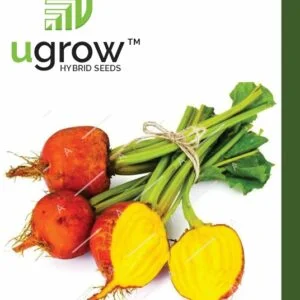 Beet Root Yellow F1 Hybrid Seeds