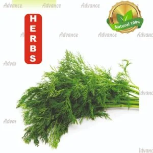 Dill