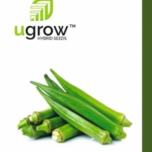 Beans Seeds F1 (Hybrid) - Ugrow Seeds