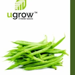 Beans Seeds F1 (Hybrid)