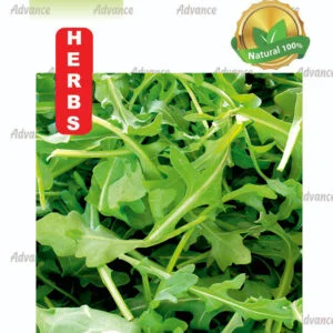 Rocket - Herbs Seeds