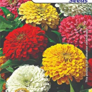 Przykład bonusu w Ice Casino