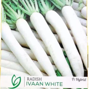 Radish Ivaan White F1 Hybrid