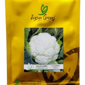 Cauliflower Cindrella F1 Hybrid 10gm Pack