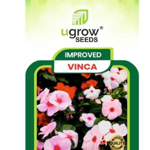 Vinca Hybrid Flower Seeds