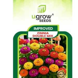Zinnia Double Mix Hybrid Flower Seeds