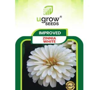 Zinnia White Hybrid Flower Seeds